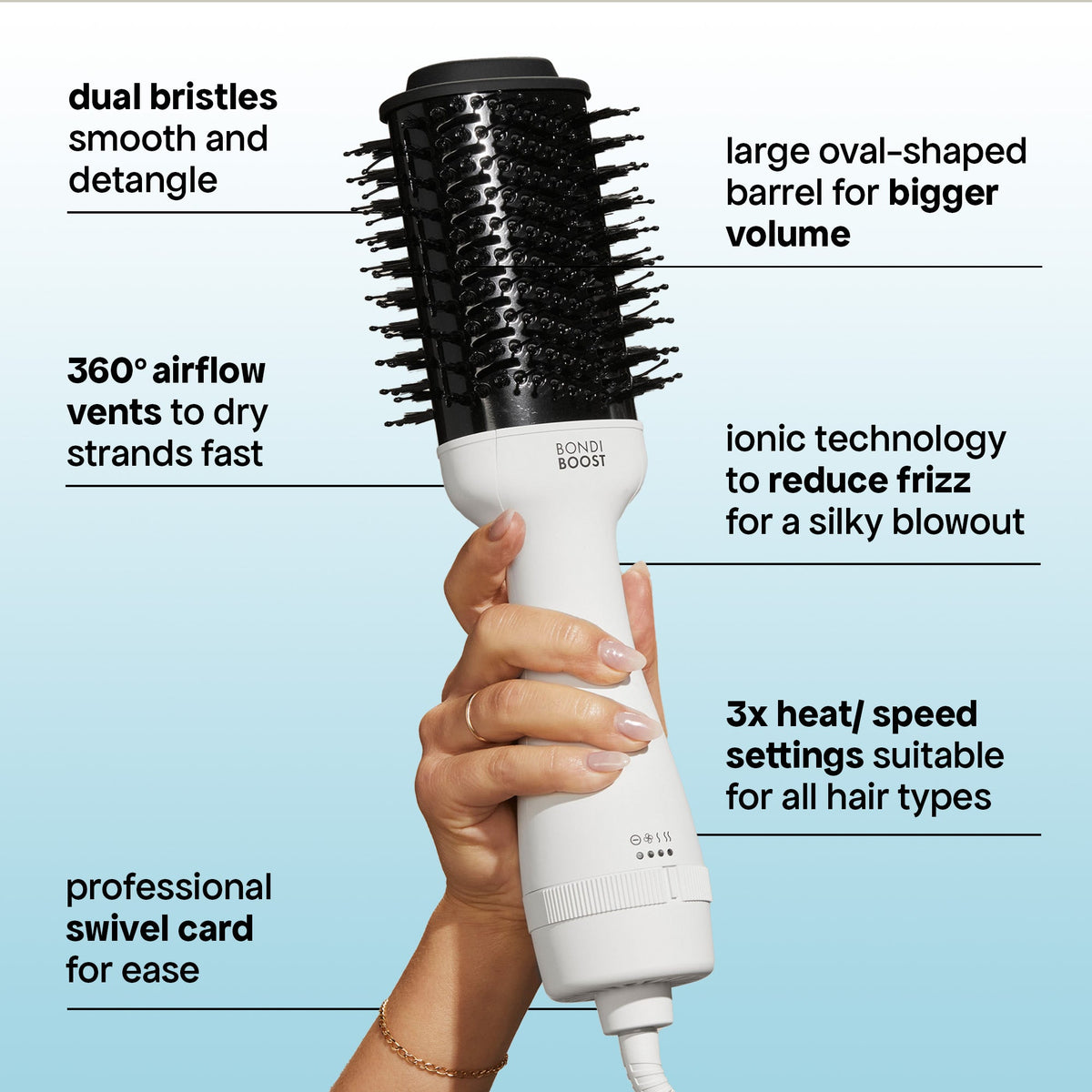 BLOWOUT BRUSH PAIR