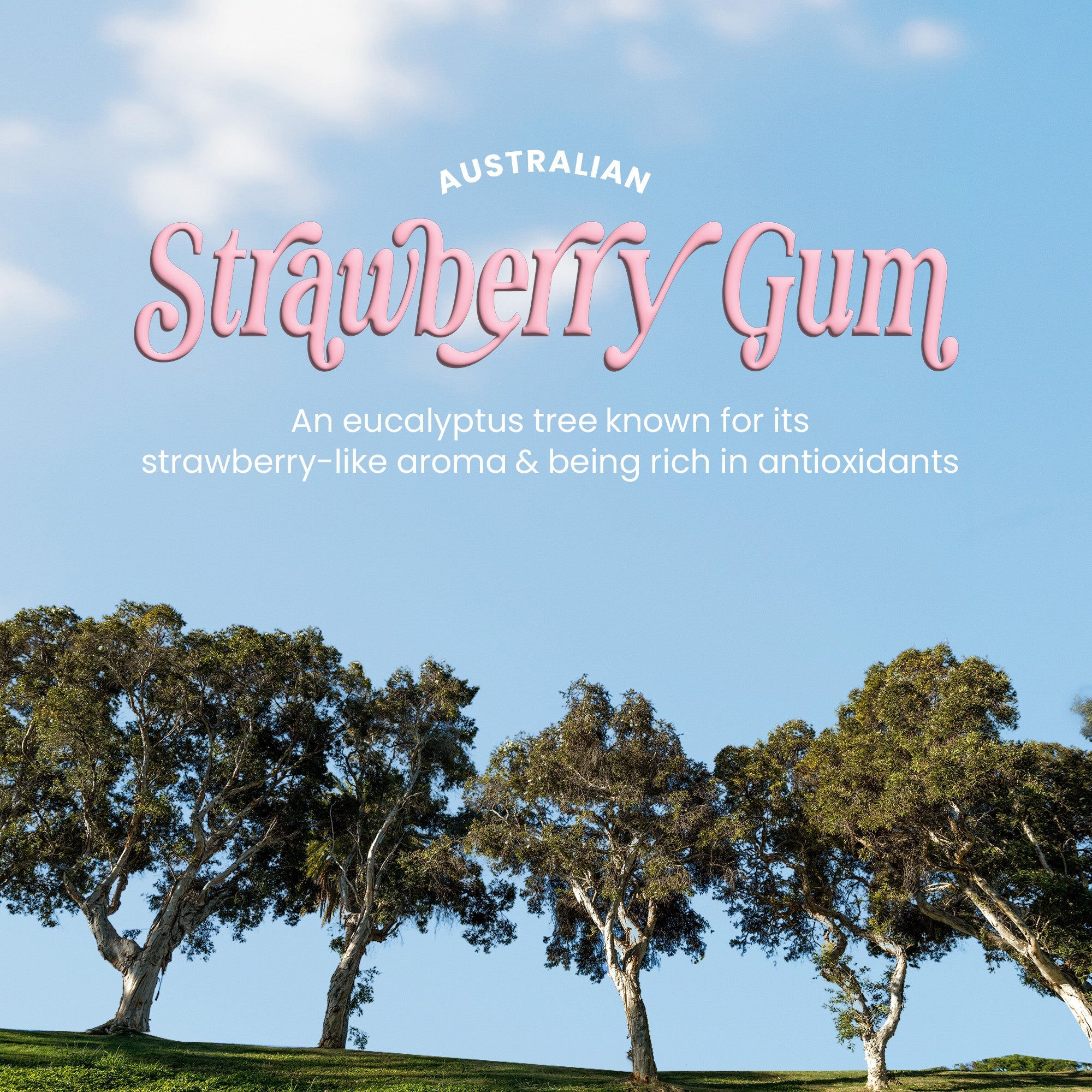 STRAWBERRY GUM GRIP