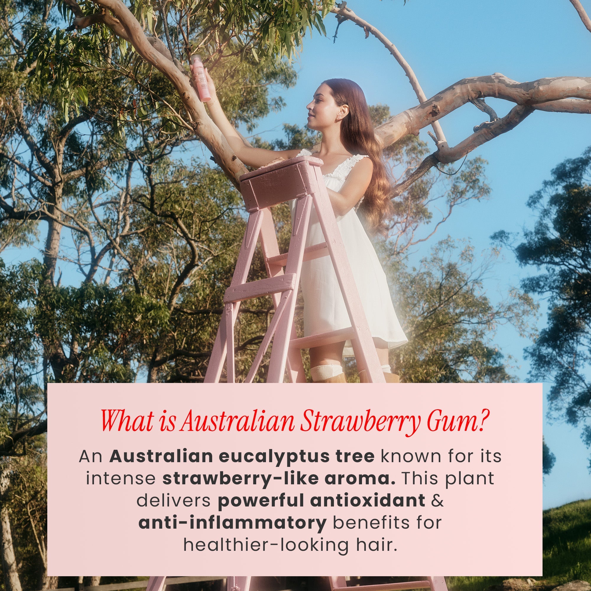 STRAWBERRY GUM TREATMENT
