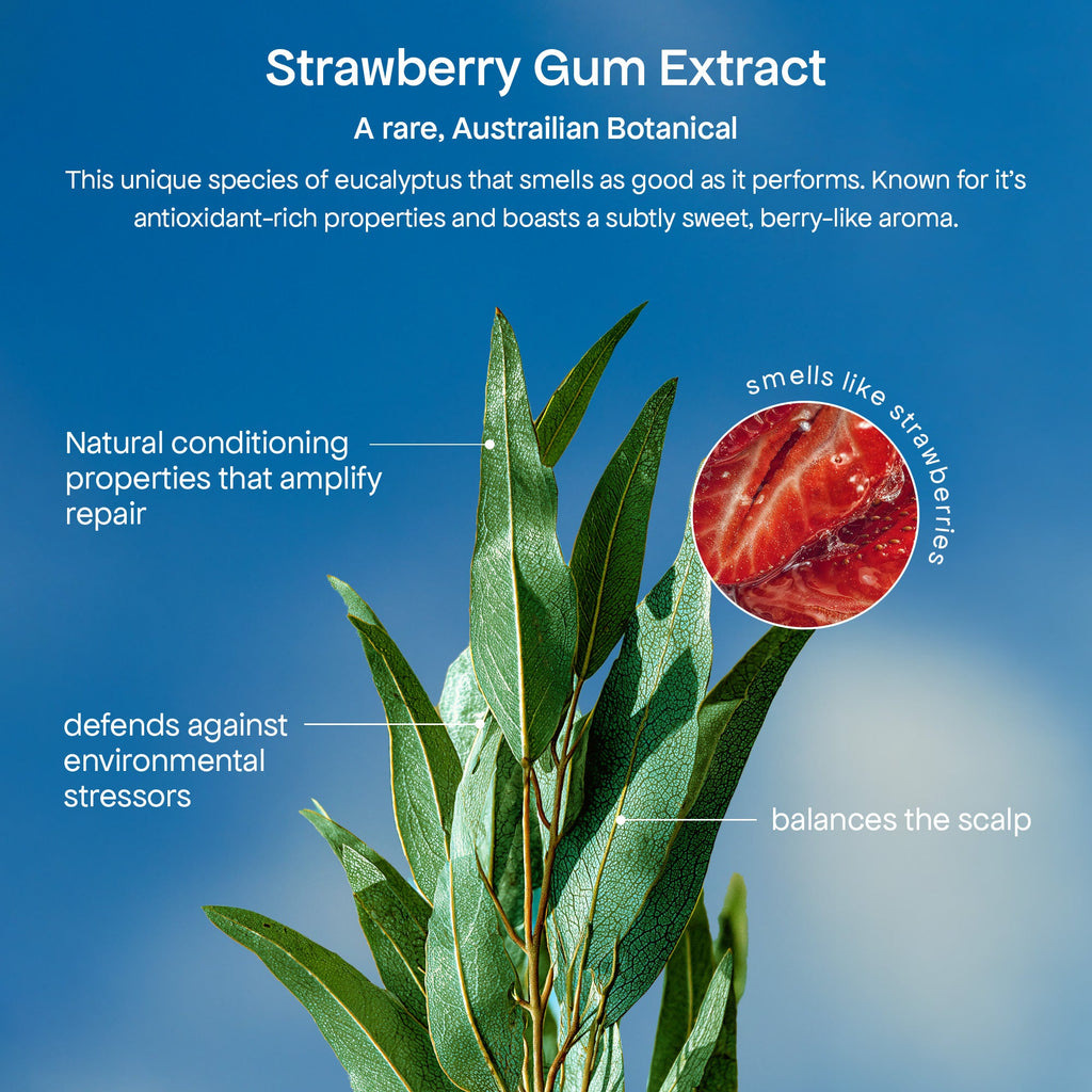 DISCOVER STRAWBERRY GUM EDITION